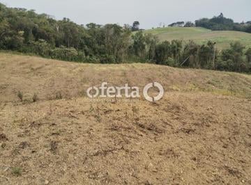 Rural · 98615m² · CHACARA PLANTIO EM BONITO NA LAPA