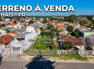 202610041733138883.jpg · Terreno para Venda em Pinhais, Weissopolis