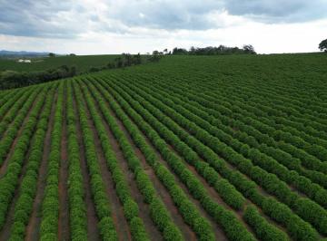 Rural · 150ha · 11 Quartos · 60 Vagas · Incrível Fazenda Café a venda MG 150,72 hectares!!!