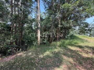 Foto 1 · Tamboré 01