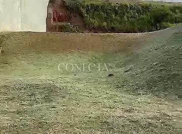 Foto 1 · Campos do Conde