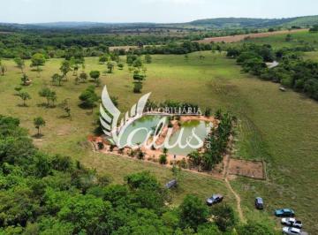 Rural de 6 quartos, Santa Cruz de Goiás · Chácara com 2,5 alqueires, 5 chalés, rio próximo e estrutura completa na casa sede em Cristianópolis