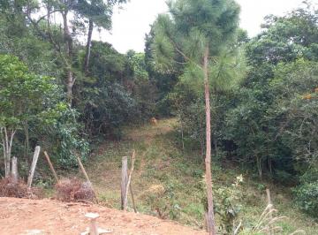 Foto 01 · Área Rural, Pau de Saia, São José dos Campos, SP