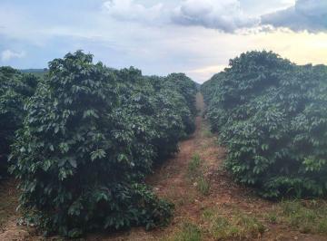 Rural de 2 quartos, Itamogi · Tem 75 mil pés de café produzindo