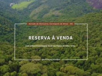 Terreno · 895000m² · Reserva à venda, na Estrada da Montueira, Carmópolis de Minas - MG.