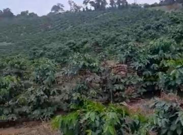 Foto 01 · Fazenda venda. Empório Negócios vende fazenda café e lavoura na região de Sul de Minas.
