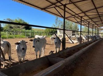 Imagem 1 · Fazenda