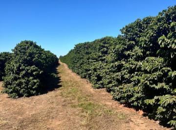 872edf2b8d69fbf1b49247a5346a9b53.jpeg · Fazenda / Sítios / Chácaras à venda em São Sebastião Do Paraíso, no bairro Área Rural De São Sebasti