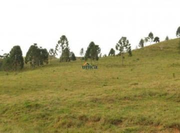Foto 08 · Fazenda em Campo Alegre com 96 hectares para criação de gado e ovelhas