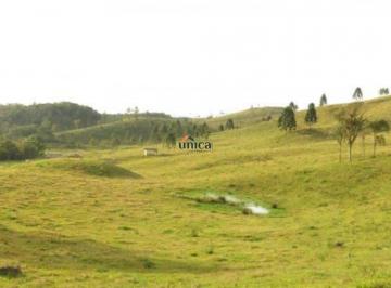 Foto 01 · Fazenda 246 hectares a venda em Campo alegre