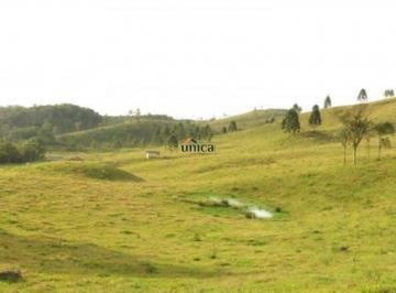 Foto 01 · Fazenda 246 hectares a venda em Campo alegre