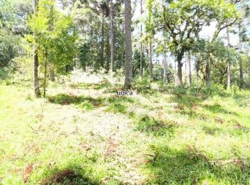 Foto 01 · Chácara à venda em Campo Alegre-SC: Natureza exuberante, localização privilegiada e infraestrutura c