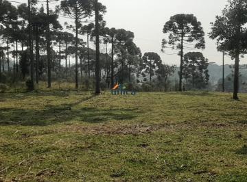 Foto 01 · Chácara próxima ao Centro com lindas araucárias: Aproveite essa Oportunidade Exclusiva!