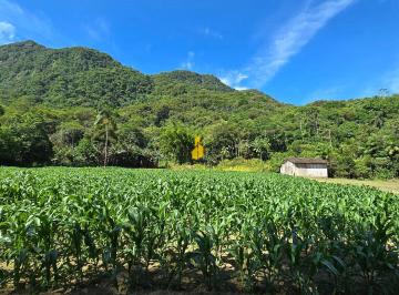 Rural · 47770m² · Sítio em Rio dos Cedros - SC