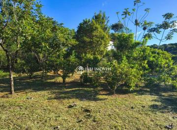 a3b5db408f49713a09c3b5caac323a151ff50942 · Ótimo Sitio, 85.000 m², no Povoado de Tremembé à venda, Maraú/BA