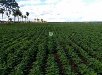 Rural · 2530m² · Fazenda Lavoura Mato Grosso do Sul.