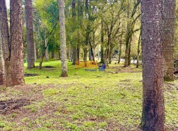 ernhpva2owm1mjczzwfkzjgz_md · LINDA CHACARA COM 3.5 HECTARES