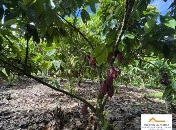 Áreas à venda, ZONA RURAL, Ubatã, BA · Áreas à venda, ZONA RURAL, Ubatã, BA
