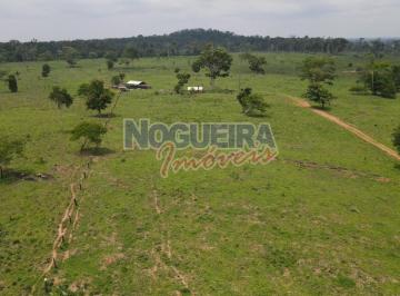 Imagem 1 · Sítio para venda em Presidente Médici