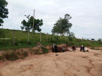 Imagem 1 · Sítio para venda em Ritápolis