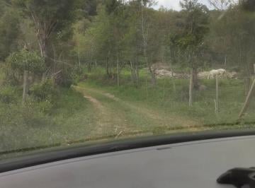 Imagem 1 · Sítio