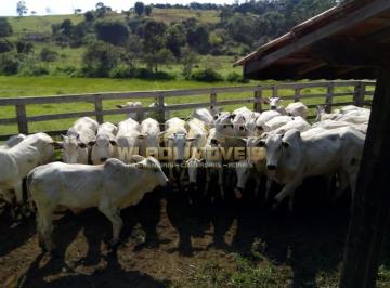 Imagem 1 · Sítio