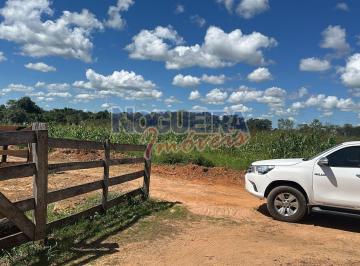 Imagem 1 · Sítio para venda em Ji-Paraná
