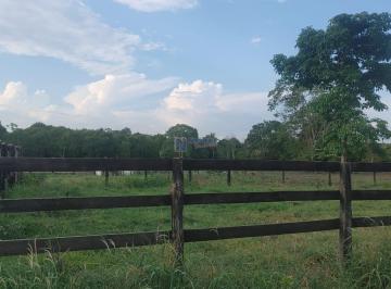 Imagem 1 · Sítio para venda em Ji-Paraná