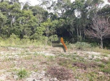 Imagem 1 · Sítio para venda em Tapiraí