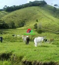 Imagem 1 · Sítio