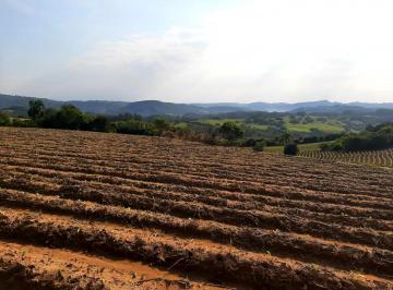 Imagem 1 · Sítio para venda em Mariana Pimentel