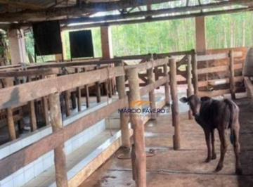 Imagem 1 · Sítio para venda em Itirapina