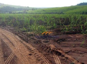 Imagem 1 · Sítio para venda em Tambaú