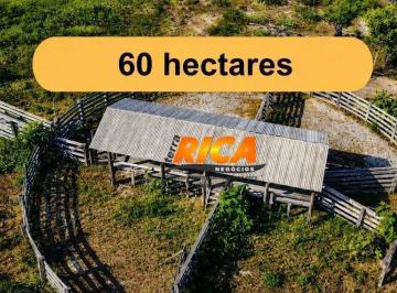 Imagem 1 · Sítio para venda em Área Rural de Porto Velho, Porto Velho
