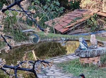 Imagem 1 · Sítio para venda em Centro, Baependi