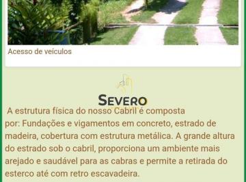 Imagem 1 · Sítio para venda em Vila Progresso, Niterói