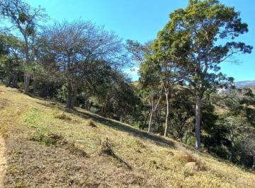 Imagem 1 · Sítio para venda em Centro, Silveiras