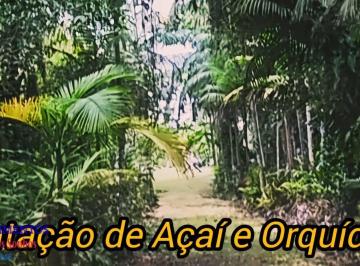 Imagem 1 · Sítio