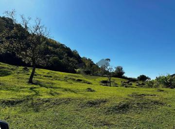 Imagem 1 · Sítio para venda em Sinimbu