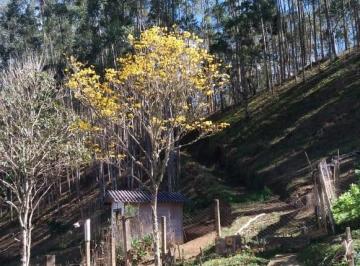 Imagem 1 · Sítio