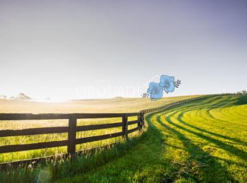 Imagem 1 · Fazenda