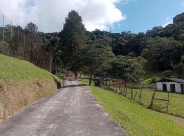 Imagem 1 · Sítio para venda em Ibiúna