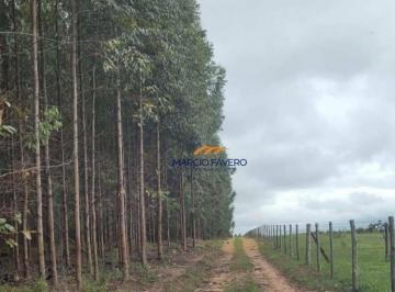 Imagem 1 · Sítio para venda em Anhembi