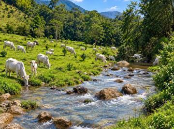 Imagem 1 · Sítio para venda em Olaria, Nova Friburgo
