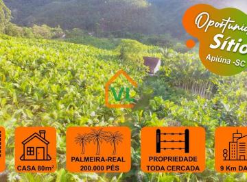 Imagem 1 · Sítio