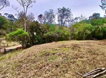 Imagem 1 · Sítio para venda em Centro, Sapucaí-Mirim