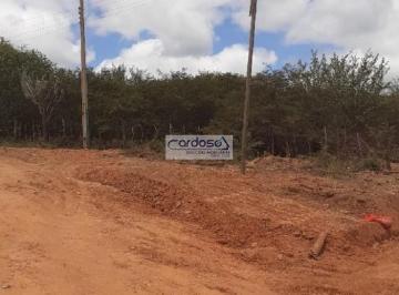 Imagem 1 · Sítio para venda em Centro, Casa Nova