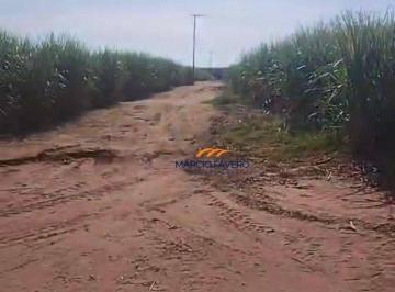 Imagem 1 · Sítio para venda em Zona Rural, Engenheiro Coelho