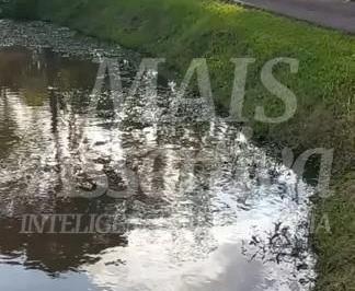 Imagem 1 · Sítio