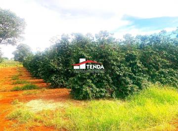 Imagem 1 · Sítio para venda em São José da Bela Vista